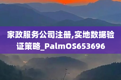 家政服务公司注册,实地数据验证策略_PalmOS653696