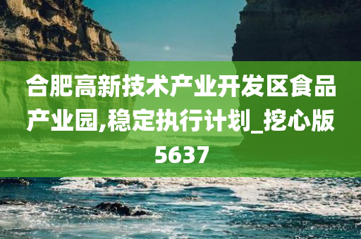 合肥高新技术产业开发区食品产业园,稳定执行计划_挖心版5637