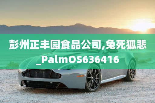 彭州正丰园食品公司,兔死狐悲_PalmOS636416