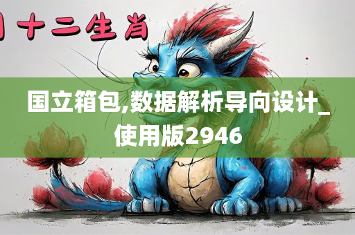 国立箱包,数据解析导向设计_使用版2946