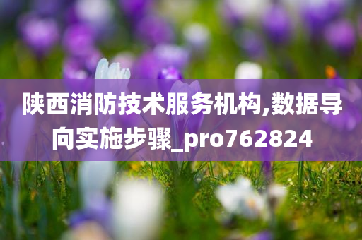 陕西消防技术服务机构,数据导向实施步骤_pro762824