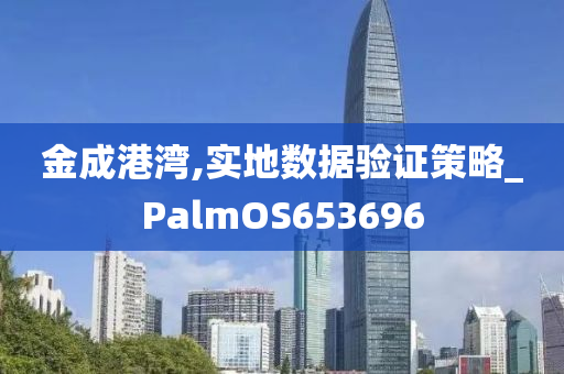 金成港湾,实地数据验证策略_PalmOS653696