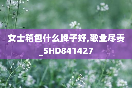 女士箱包什么牌子好,敬业尽责_SHD841427