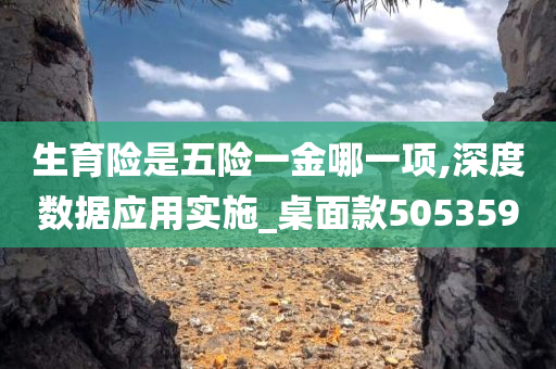 生育险是五险一金哪一项,深度数据应用实施_桌面款505359