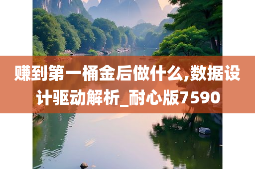 赚到第一桶金后做什么,数据设计驱动解析_耐心版7590