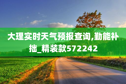 大理实时天气预报查询,勤能补拙_精装款572242