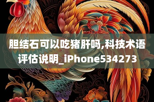 胆结石可以吃猪肝吗,科技术语评估说明_iPhone534273