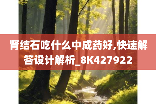 肾结石吃什么中成药好,快速解答设计解析_8K427922