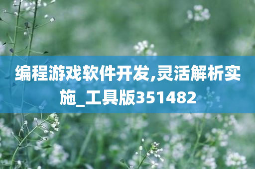 编程游戏软件开发,灵活解析实施_工具版351482