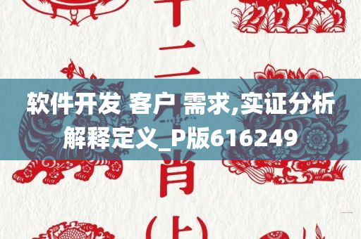 软件开发 客户 需求,实证分析解释定义_P版616249