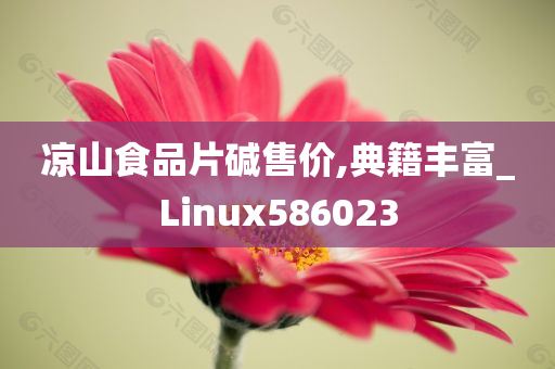 凉山食品片碱售价,典籍丰富_Linux586023