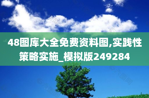 48图库大全免费资料图,实践性策略实施_模拟版249284