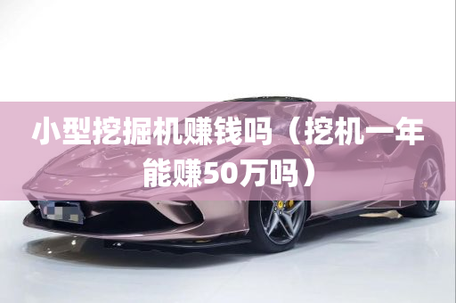 小型挖掘机赚钱吗（挖机一年能赚50万吗）