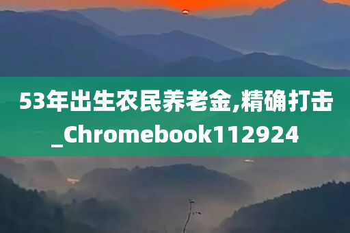 53年出生农民养老金,精确打击_Chromebook112924