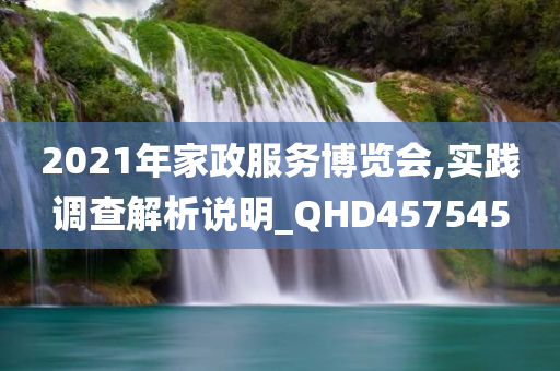 2021年家政服务博览会,实践调查解析说明_QHD457545