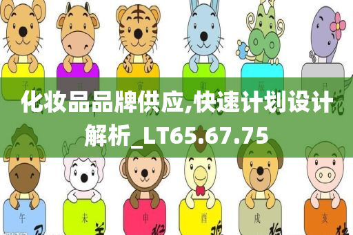 化妆品品牌供应,快速计划设计解析_LT65.67.75