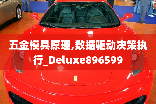 五金模具原理,数据驱动决策执行_Deluxe896599