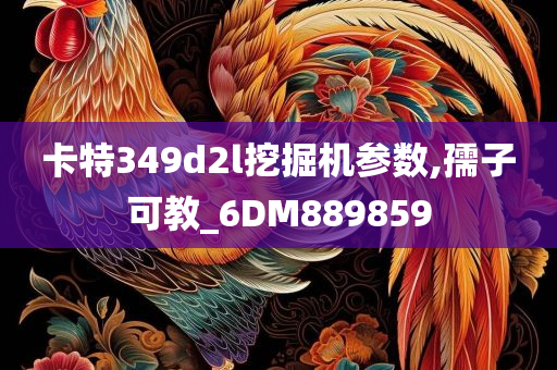 卡特349d2l挖掘机参数,孺子可教_6DM889859