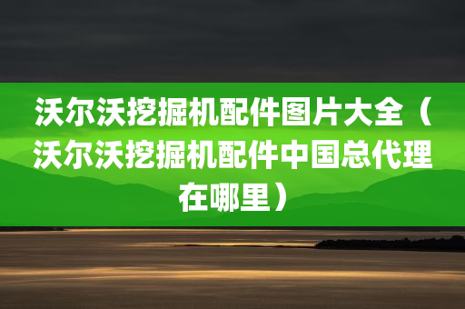 沃尔沃挖掘机配件图片大全（沃尔沃挖掘机配件中国总代理在哪里）