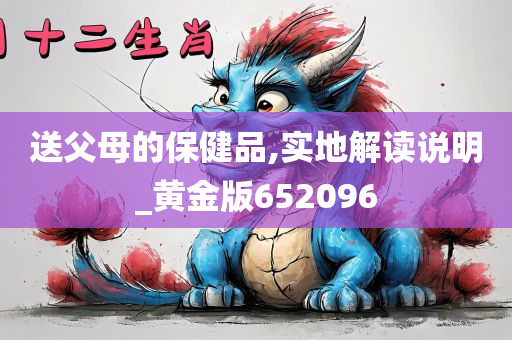 送父母的保健品,实地解读说明_黄金版652096