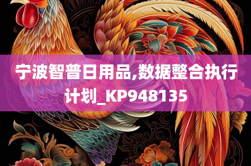 宁波智普日用品,数据整合执行计划_KP948135