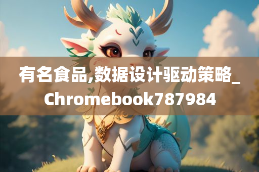 有名食品,数据设计驱动策略_Chromebook787984