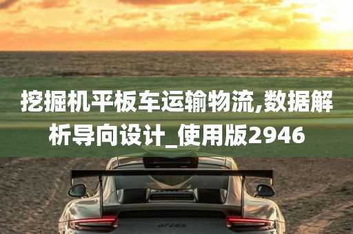 挖掘机平板车运输物流,数据解析导向设计_使用版2946