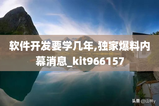 软件开发要学几年,独家爆料内幕消息_kit966157