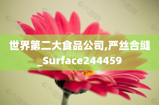 世界第二大食品公司,严丝合缝_Surface244459