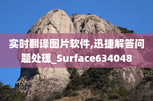 实时翻译图片软件,迅捷解答问题处理_Surface634048