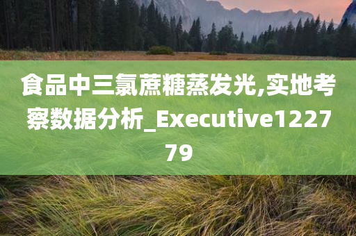 食品中三氯蔗糖蒸发光,实地考察数据分析_Executive122779