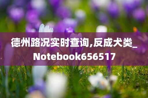 德州路况实时查询,反成犬类_Notebook656517