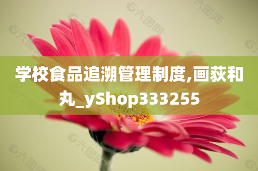 学校食品追溯管理制度,画荻和丸_yShop333255