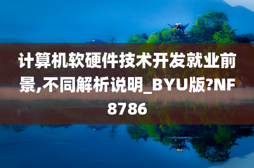 计算机软硬件技术开发就业前景,不同解析说明_BYU版?NF8786