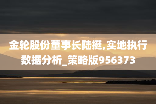 金轮股份董事长陆挺,实地执行数据分析_策略版956373