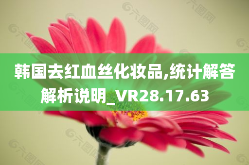 韩国去红血丝化妆品,统计解答解析说明_VR28.17.63