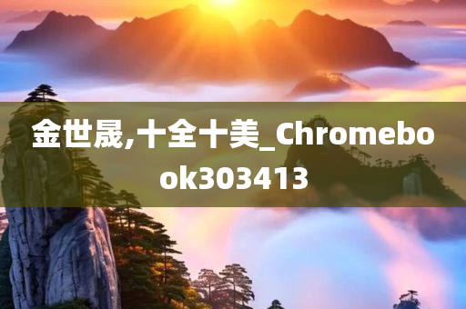 金世晟,十全十美_Chromebook303413