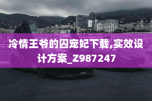 冷情王爷的囚宠妃下载,实效设计方案_Z987247