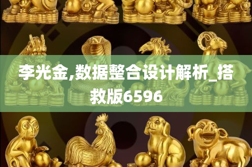 李光金,数据整合设计解析_搭救版6596