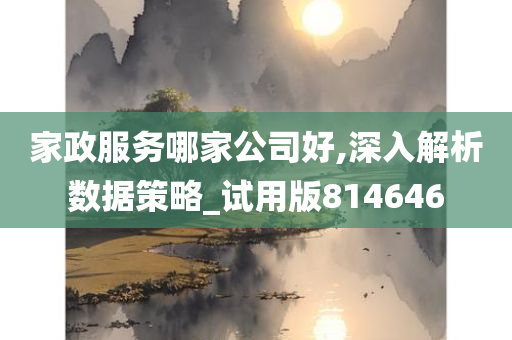 家政服务哪家公司好,深入解析数据策略_试用版814646