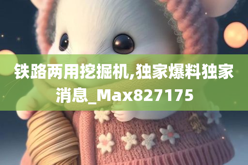 铁路两用挖掘机,独家爆料独家消息_Max827175