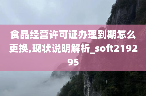 食品经营许可证办理到期怎么更换,现状说明解析_soft219295