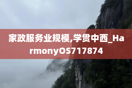 家政服务业规模,学贯中西_HarmonyOS717874