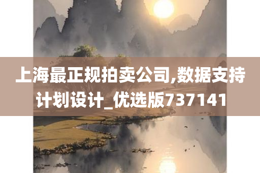 上海最正规拍卖公司,数据支持计划设计_优选版737141