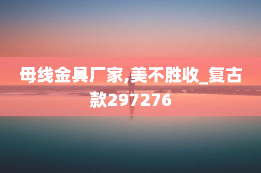 母线金具厂家,美不胜收_复古款297276