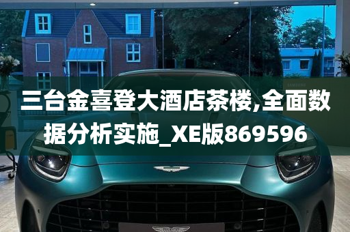 三台金喜登大酒店茶楼,全面数据分析实施_XE版869596