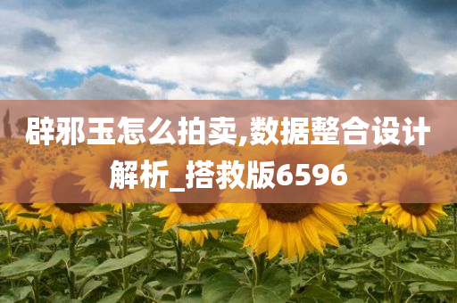 辟邪玉怎么拍卖,数据整合设计解析_搭救版6596