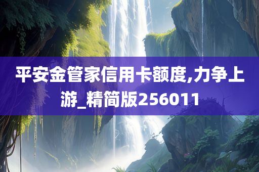 平安金管家信用卡额度,力争上游_精简版256011