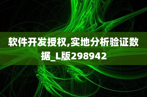 软件开发授权,实地分析验证数据_L版298942