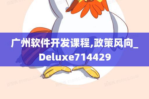 广州软件开发课程,政策风向_Deluxe714429